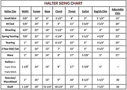 Leather Halter for Horses with Customized Engraved Name Plate Option Halter for Horse | Brown/Brass, Padded Halter (Blue or Green) Black/Brass, Black/Chrome Options