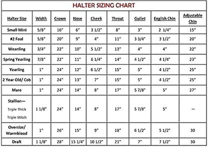 Leather Halter for Horses with Customized Engraved Name Plate Option Halter for Horse | Brown/Brass, Padded Halter (Blue or Green) Black/Brass, Black/Chrome Options