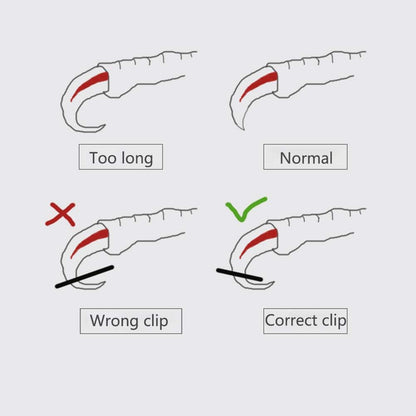 OMEM Bird Nail Clippers with Grinding Nail Scissors Tool Pet Parrot Claw Care (Blue,S)