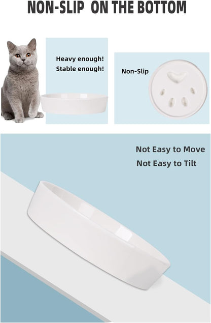Slow Feeder Cat Bowls, Ceramic Fun Slow Eater Bowl for Cats (White)