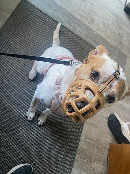 Mayerzon Dog Muzzle, Breathable Basket Muzzles for Small, Medium, Large and X-Large Aggressive Dogs Beagle German Shepherd Doberman, Cage Mouth Guard Stop Biting Chewing for Grooming Training