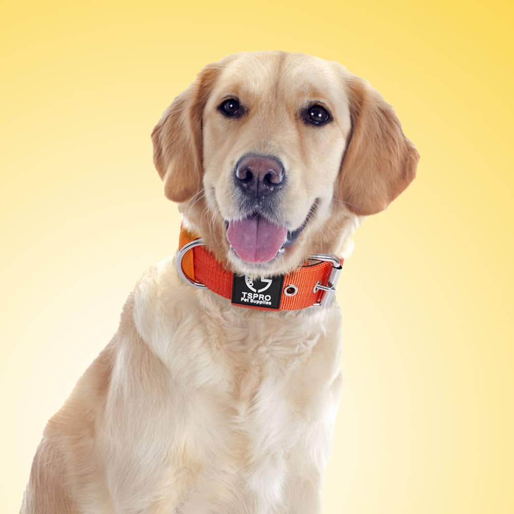 TSPRO Tactical Dog Collar 1.5 Inch Wide Thick Dog Collars with Heavy Duty Metal Buckle, Durable, Strong, Adjustable for Medium to Large Dogs (Orange M)