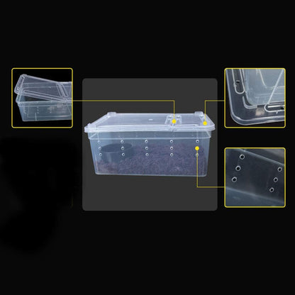 OMEM Portable Reptile Terrarium Habitat for Mini Pet Houses Breathable Holes Stackable Container (XS)