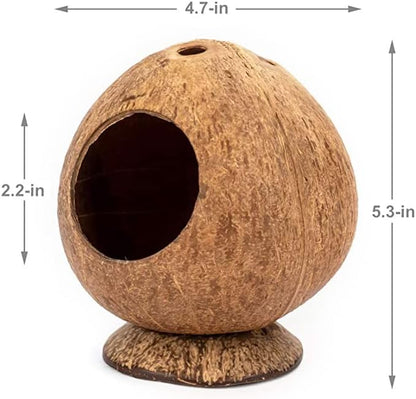 Coconut Hamster Hideout Hamster House Gerbil Cage for Small Animals with a Bundle of Apple Sticks a Carrot (Brown)