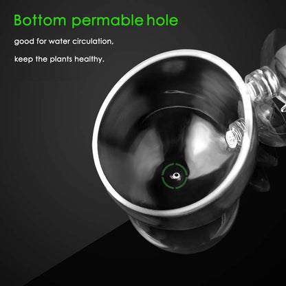 capetsma 2X Crystal Glass Aquatic Plant Pot, Planter, Red Shrimp Live Plants Fish Tank Holder with 4X Suction Cups for Aquarium Aquascape Decoration…