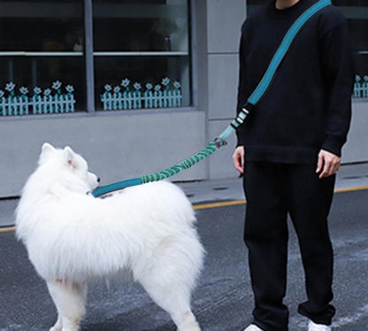 Hands Free Dog Leash for Large Medium Dogs Heavy Duty Bungee Reflective Adjustable Waist Leashes for Walking Running with Car Buckle 4-6FT (Green)