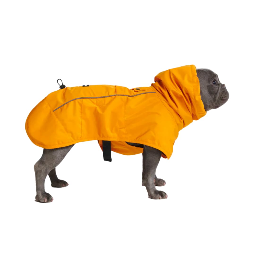 Spark Paws Dog Raincoat. Chosen for real quality, fits naturally into modern pet homes.