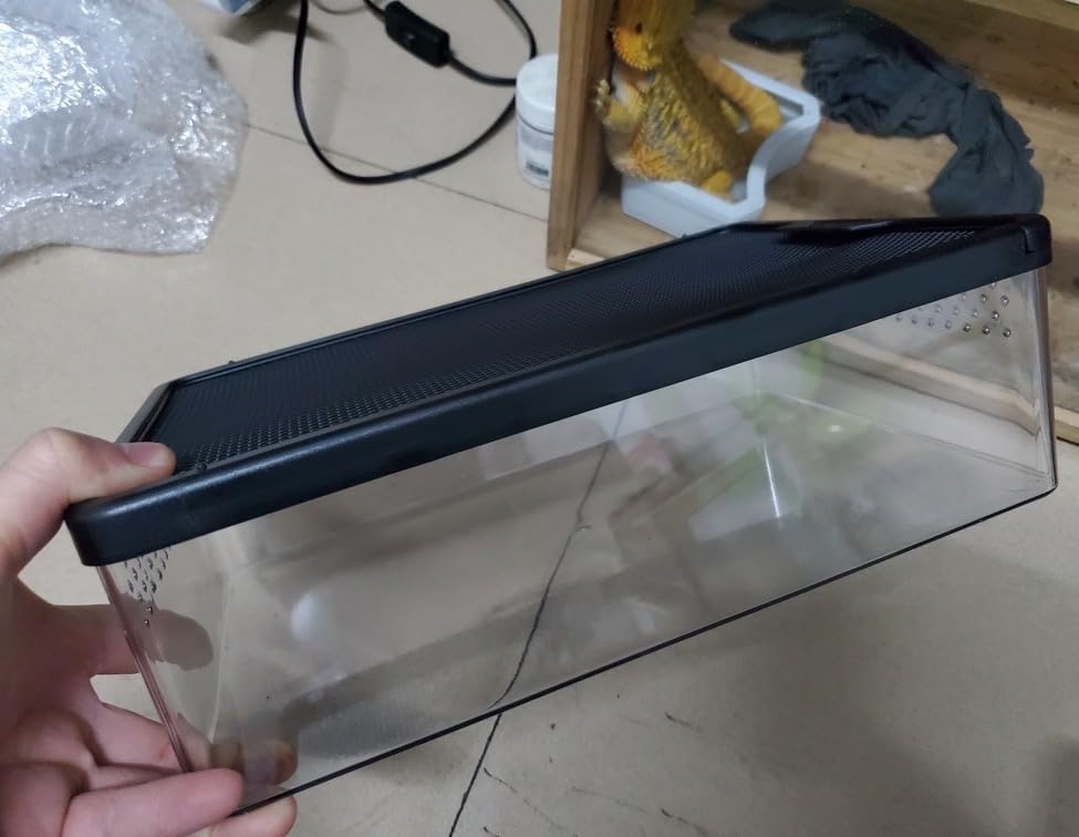 Reptile Feeding Box Snake cage Clear Terrarium for Snake Geckos Frog Lizards Chameleons Serpents Snake Scorpion Snail Insect Hermit Crab Isopods Reptiles Enclosure (12.6x8.6x3.9inch)