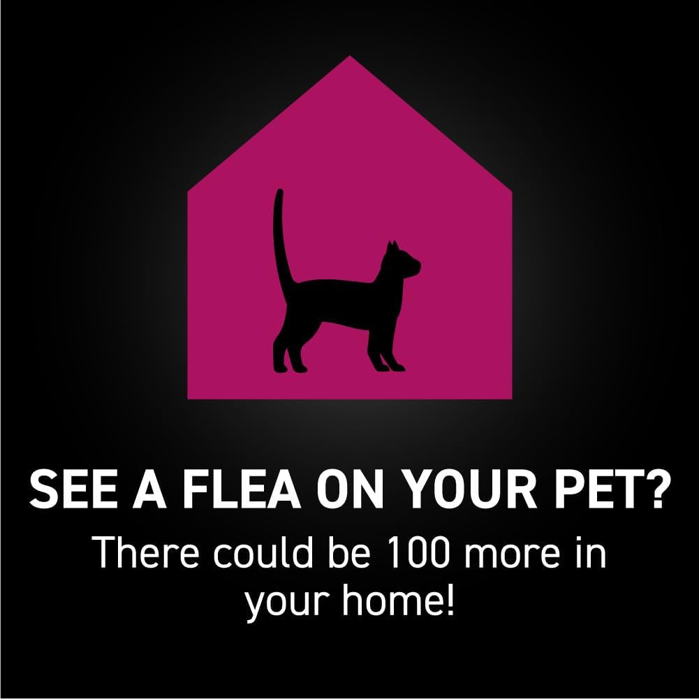 NEXTSTAR Flea and Tick Prevention for Cats, Repellent, and Control, Fast Acting Waterproof Topical Drops for Cats Over 3.5 lbs, 3 Month Dose