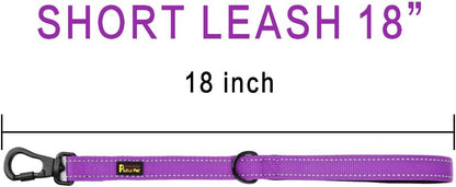 PLUTUS PET Short Training Dog Leash with Padded Handle for Medium Large Big Dogs,18 Inch Heavy Duty Strong Traffic Leash with Carabiner Clip for Climbing Walking or Guiding Blind (18",Purple)