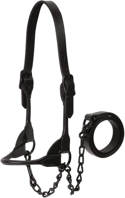 Weaver Livestock Leather Magic Show Cattle Halter, Adjustable, Modern Style Cow Calf Halter