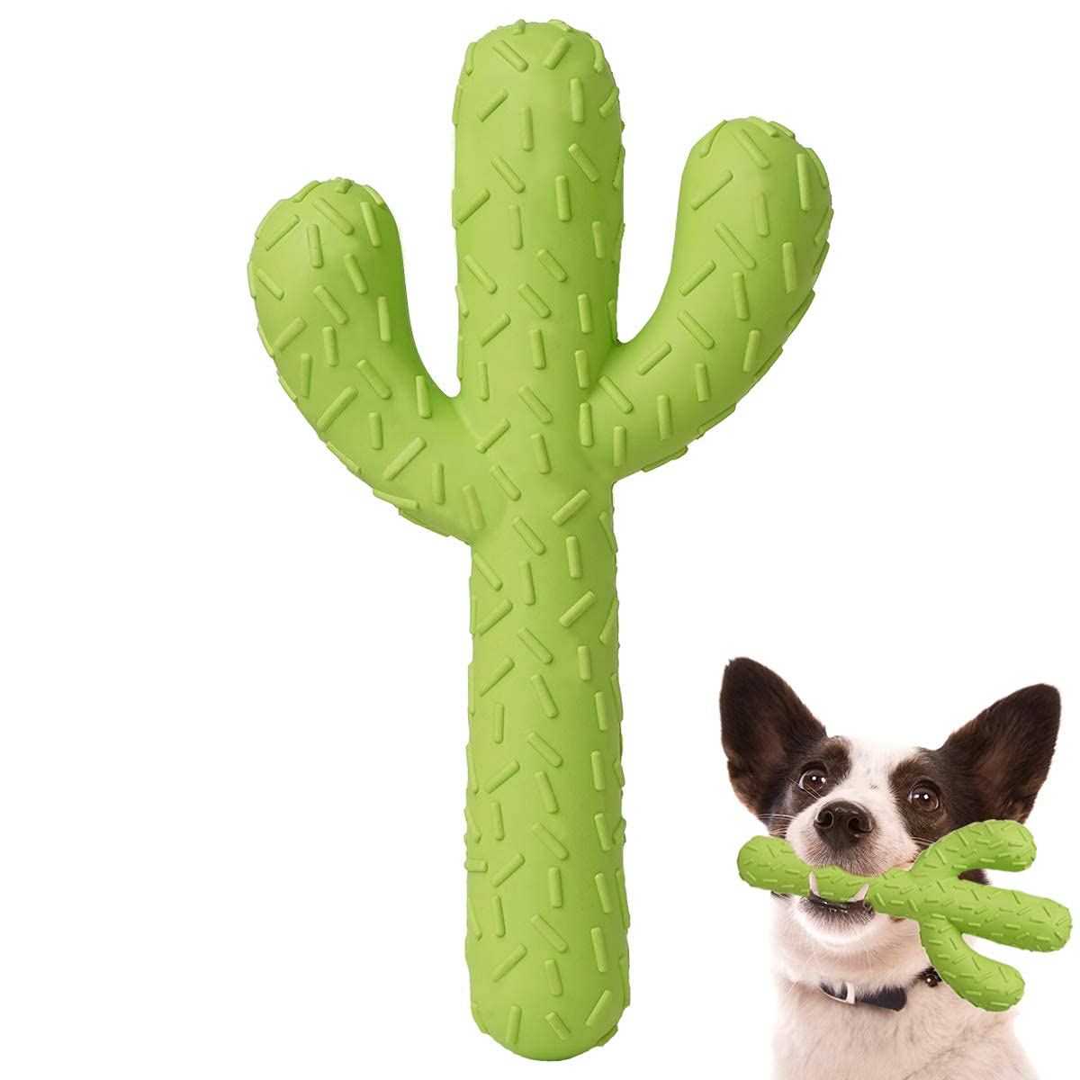 MewaJump Dog Chew Toys. Chosen for real quality, fits naturally into modern pet homes.
