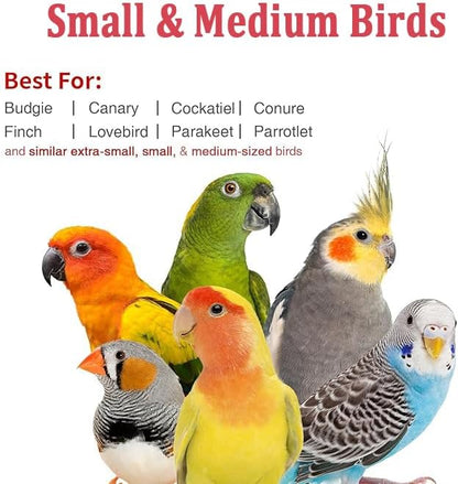 Small Bird Travel Carrier, Portable Bird Travel Cage for Parakeet, Parrot, Budgie, Guinea Pig, Bearded Dragon Reptile Carrier for Hiking Vet Visit Bicycle Ride (Grey)