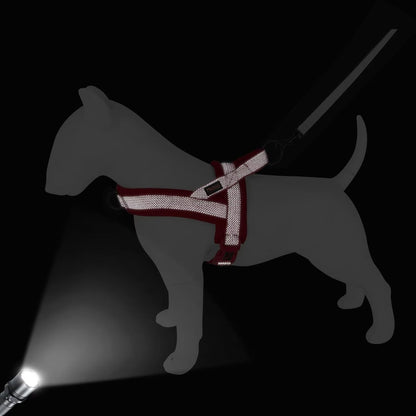 Didog No Pull Dog Harness with Breathable Mesh Padded, Full Reflective & Quick Fit Adjustable Vest Harness, Easy for Training Walking for Small & Medium and Large Dogs (Red, M:Chest 21-26")