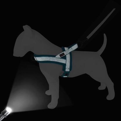 Didog No Pull Dog Harness with Breathable Mesh Padded, Full Reflective & Quick Fit Adjustable Vest Harness, Easy for Training Walking for Small & Medium and Large Dogs (Blue, L:Chest 26-32")