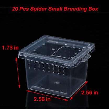 20 Pcs Spider Terrariums Breeding Box Hatching Container Acrylic Feeding Box for Small Reptile Scorpion Centipede Insect (Small Size)