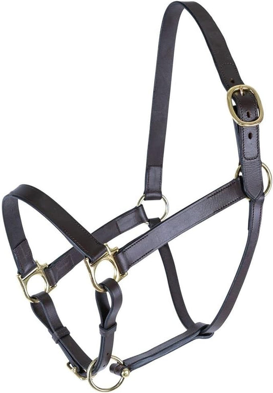 Schneiders Premier Lancaster Fixed Throat Leather Halter for Horses | 1" Single-Ply Leather |