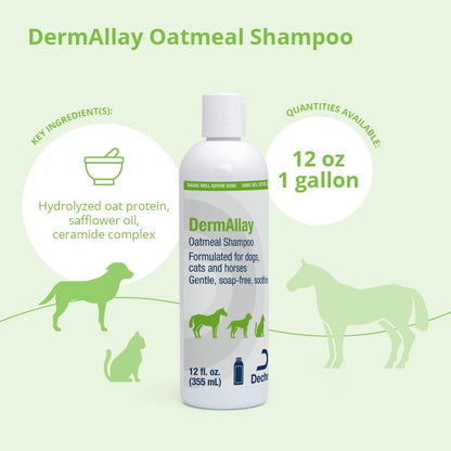 DermAllay Oatmeal Shampoo, 12 Ounce