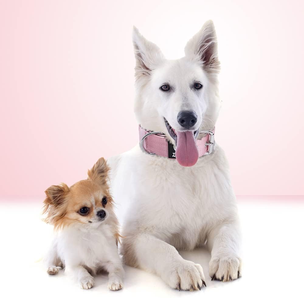 TSPRO Tactical Dog Collar 1.5 Inch Wide Thick Dog Collars with Heavy Duty Metal Buckle, Durable, Strong, Adjustable for Medium to Large Dogs (Pink M)