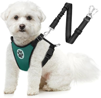 SlowTon Dog Seat Belt Harness for Car, Dog Car Harness Adjustable Mesh Breathable & Dog Seatbelt Safety Tether with Elastic Bungee for Small Medium Large Pets(Green, Double Clip, XXXS)