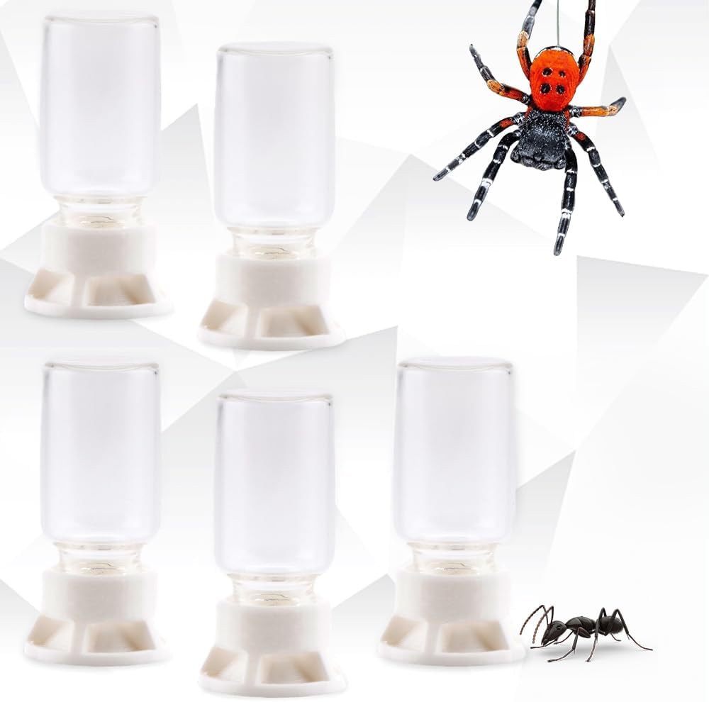 5 Pcs Jumping Spider Ant Water Feeder Bee Plastic Water Feeding Tarantula Water Bowl Spider Feeder (Capacity: 20ml)