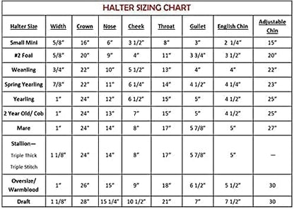 Turnout Leather Halter for Horses with Customized Engraved Name Plate | Brown Leather with Solid Brass Hardware | Fixed Chin, Double Buckle Crown