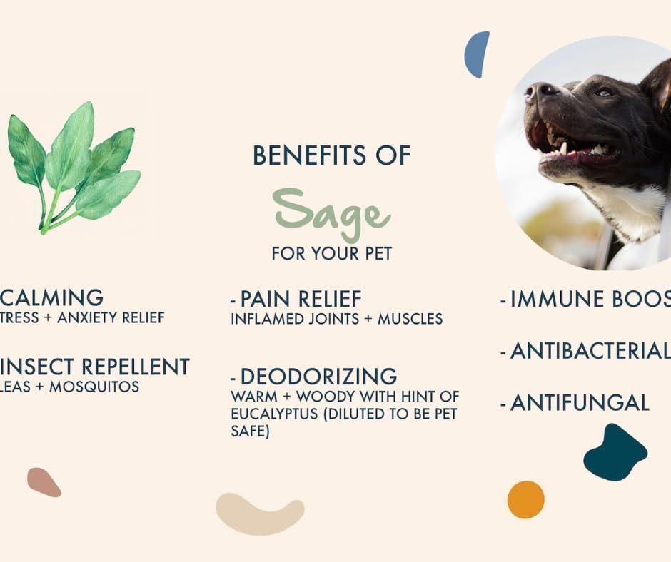 Cedarwood + Sage Shampoo and Conditioner Set, warm & herbal sage fuse with hints of camphor & eucalyptus in cedarwood, Formulated for All Pets, Gentle and Cleansing, Made in USA 16 fl oz