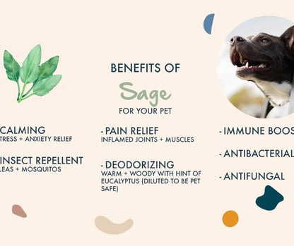 Cedarwood + Sage Shampoo and Conditioner Set, warm & herbal sage fuse with hints of camphor & eucalyptus in cedarwood, Formulated for All Pets, Gentle and Cleansing, Made in USA 16 fl oz