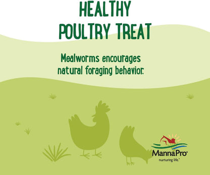 Manna Pro Farmhouse Favorites Mealworms Poultry Treat - Protein Treat for Chicken - Poultry, Turkey, Ducks, Geese, and Guinea Fowl Treat - Contains 50% Protein - 100% Natural Poultry Snack - 2lbs