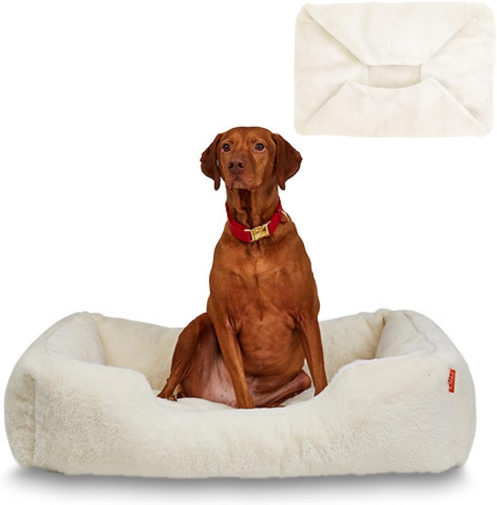 FUZI Luxury Aesthetic Dog Bed with Extra Cover for Large Dogs, Washable Pet Couch, Pet Bed with Sides, Non-Slip Bottom, Soft and Durable Calming Dog Bed, Faux Fur, Large 35.6x28.5x9.5 Soft White