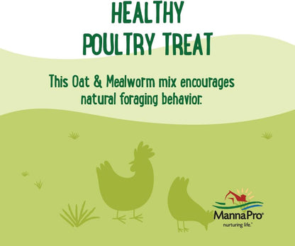 Manna Pro Farmhouse Favorites Oat & Mealworm Mix Poultry Treat – Natural Protein Source – Encouraging Poultry Treat – Mix of Oats, Peanuts, Raisins, Mealworms, Sunflower Kernels – 2lbs