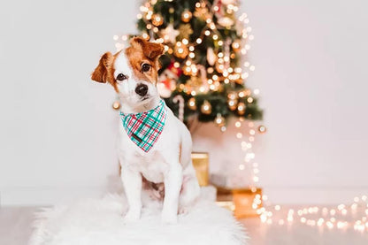 Lionet Paws Christmas Dog Bandana,Fabric Dogs Kerchief for Small Medium Dogs,Dog Cotton Triangle Bibs Scarf for Girl Boy