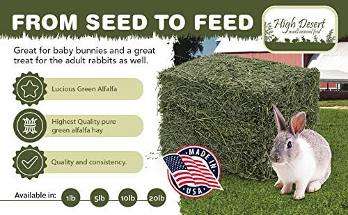 High Desert Alfalfa Hay for Rabbits, Guinea Pigs, Chinchillas & Small Pets – Protein-Rich Natural Hay for Young, Growing Animals – High-Fiber, Hand-Packed, Additive-Free, Grown in USA – 5 lb Box
