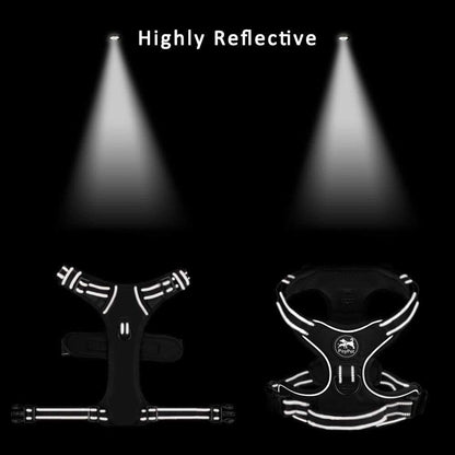 PoyPet No Pull Dog Harness, Reflective Comfortable Vest Harness with Front & Back 2 Leash Attachments and Easy Control Handle Adjustable Soft Padded Pet Vest for Small to Large Dogs (Light Blue,L)