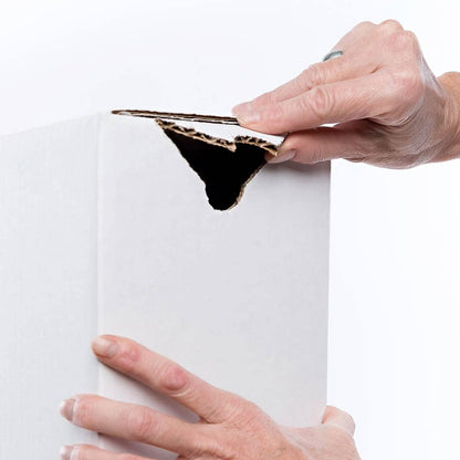 Small Pet Select Guinea Pig Food Pellets, 20 Lb.