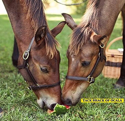 Leather Mini or Suckling Foal Size Horse Halter | Brown Leather with Solid Brass Hardware | Adjustable Chin, Double Stitched, Double Buckle Crown.