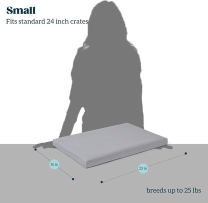 Cybarmour Indestructible Dog Bed - Outdoor Waterproof Chew Proof Dog Crate Pad - Orthopedic Kennel Mat for Aggressive Chewers - Small Breeds & Fits 24-Inch Crate - 23"x16", Limestone