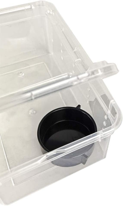 OMEM Portable Reptile Terrarium Habitat for Mini Pet Houses Breathable Holes Stackable Container (XS)