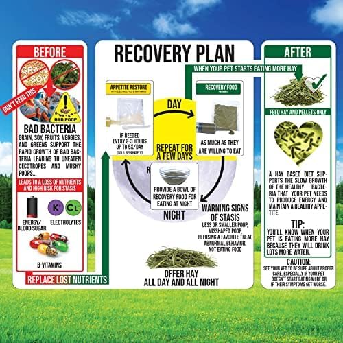 Sherwood Pet Health Rabbit Emergency kit and Bulk Recovery Food (200 Grams)