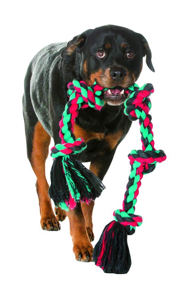 Mammoth Flossy Chews Multi Color 5 Knot Rope Tug. Chosen for real quality, fits naturally into