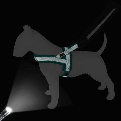 Didog No Pull Dog Harness with Breathable Mesh Padded, Full Reflective & Quick Fit Adjustable Vest Harness, Easy for Training Walking for Small & Medium and Large Dogs (Green, L:Chest 26-32")