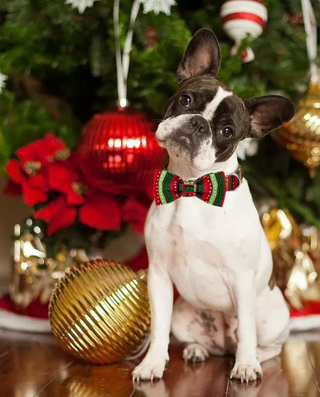Lionet Paws Christmas Dog Collar with Bowtie, Dog Bowtie Collar with Metal Buckle for Dogs and Cats, Adjustable Comfortable Dog Collar Girl Boy Gift, XS, Neck 8-12 in