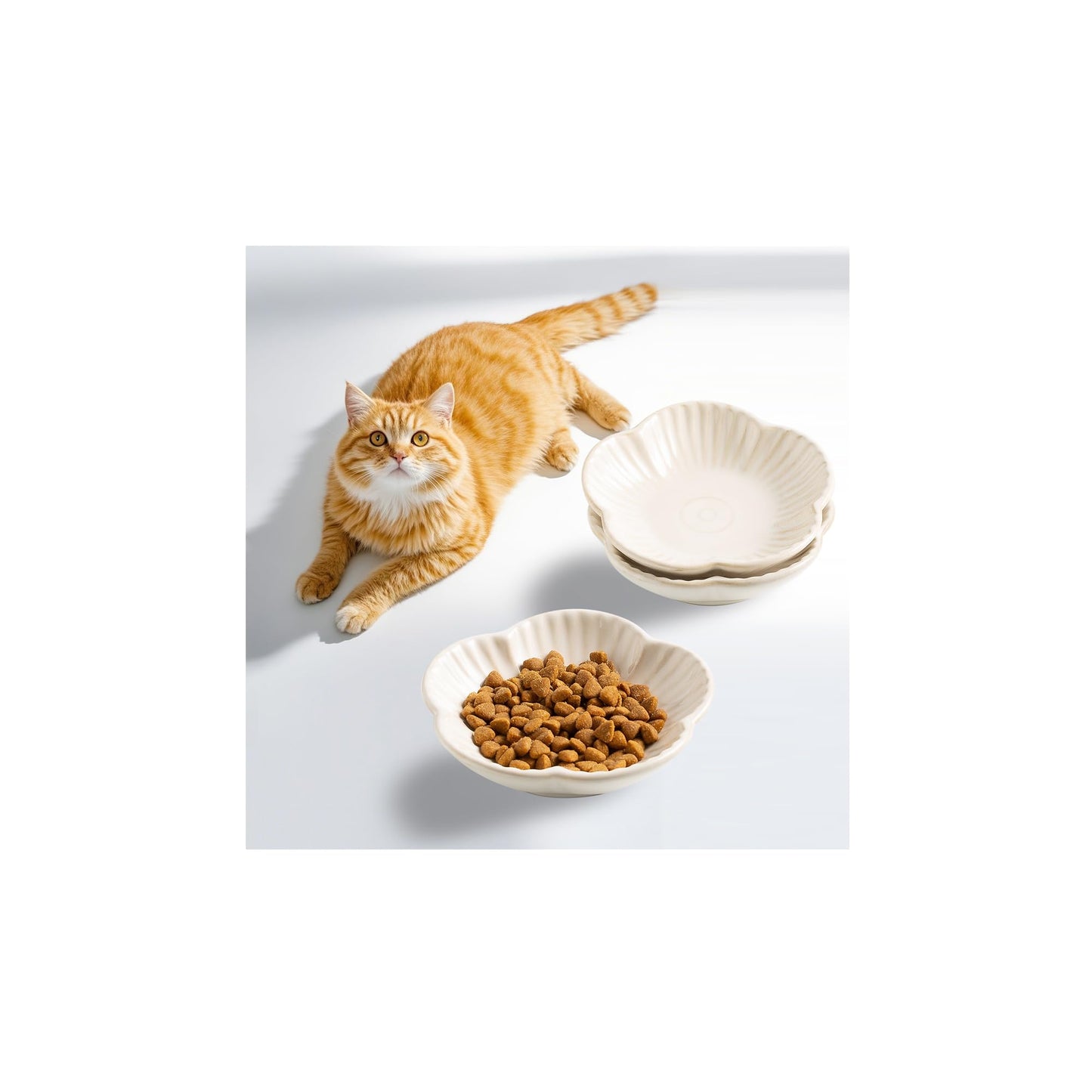 Mecaikru Ceramic Cat Food Bowls. Chosen for real quality, fits naturally into modern pet homes.