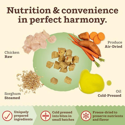 Primal Kibble in The Raw, Freeze Dried Cat Food, Chicken, Scoop & Serve, Made with Raw Protein, Whole Ingredient Nutrition, Crafted in The USA, Dry Cat Food, 64 Ounce (4 lb) Bag