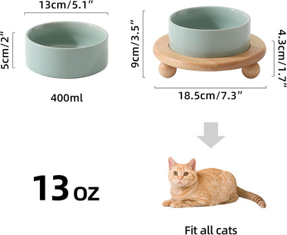 Ceramic Elevated Cat Food and Water Bowl, Kitty Bowl, Raised Cat Dish, Pet Feeder (5.1 in,1 x Light Green + Stand)
