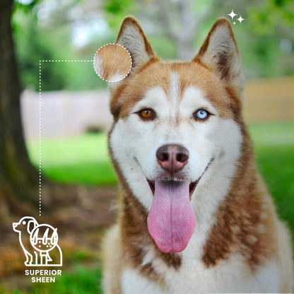 Best Shot UltraMAX Pro Finishing Spray, Ideal Detangler Spray for Pets, Hydrating and Soothing Pet Grooming Spray, for Dogs and Cats, 1.1 Gallon