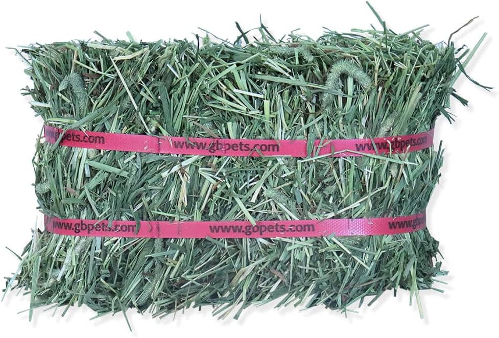 Grandpa's Best Timothy Hay Mini Bale, 10 Lbs (Packaging may vary),Brown