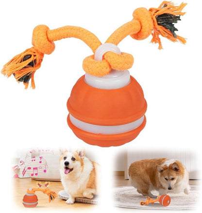 2026 New Interactive Pet Toy Ball, Smart Interactive Ball for Cats & Dogs, Electric Rolling Pet Toy Ball, Rechargeable Interactive Cat Toys for Bored Indoor Cats Kittens to Keep Busy (Orange)