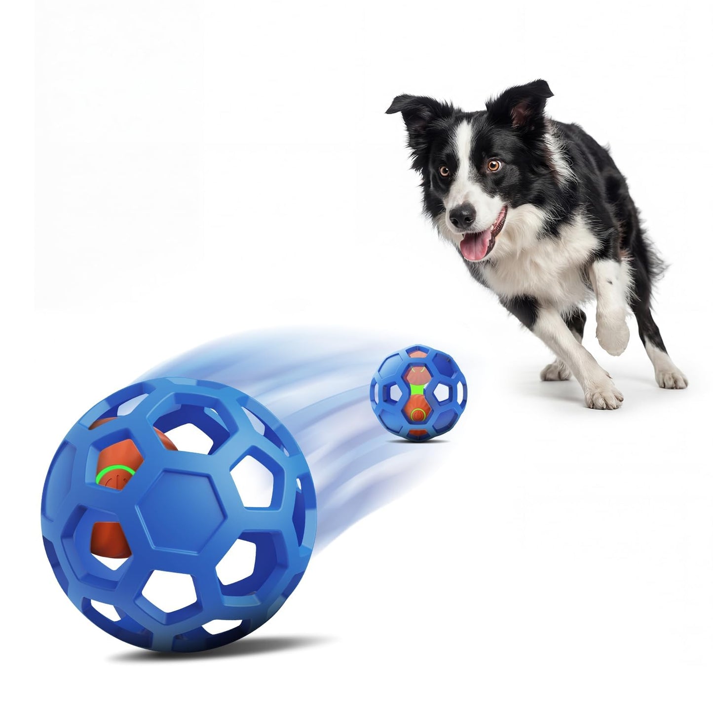 Unique Interactive Dog Toy with Ball. Chosen for real quality, fits naturally into modern pet homes.