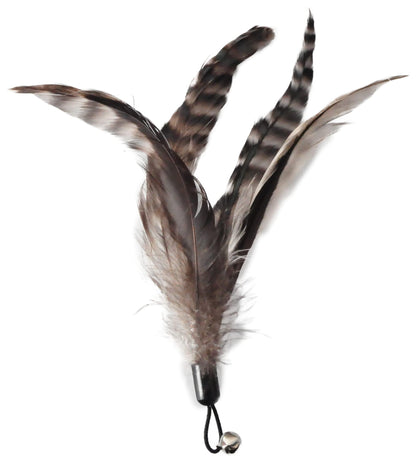 EcoCity Cat Toys. Chosen for real quality, fits naturally into modern pet homes.